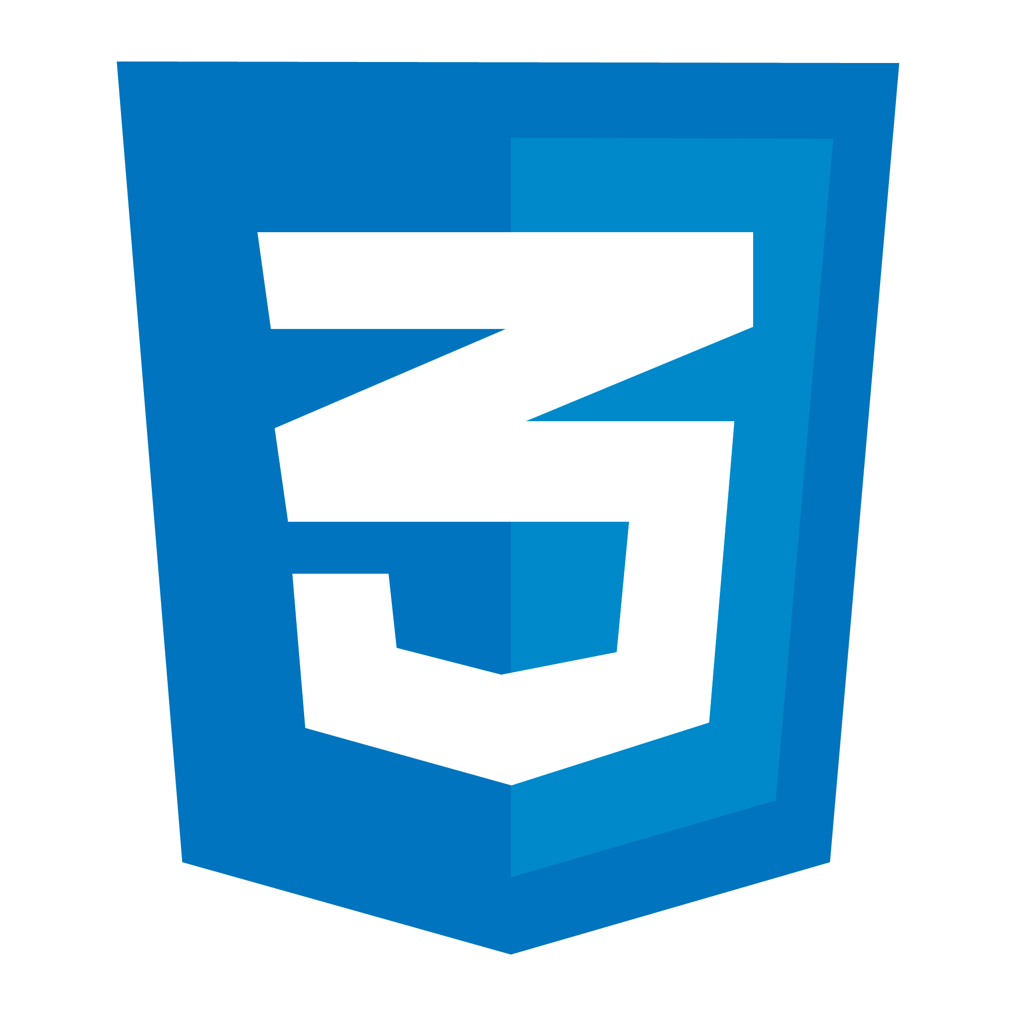 ícone do css